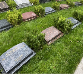 福泽卧碑